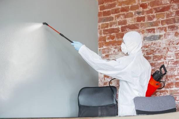 Best Dehumidification Services  in Vancleave, MS