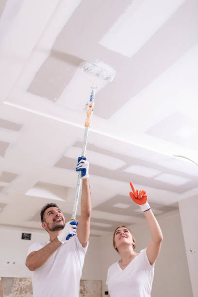 Best Mold Prevention Services  in Vancleave, MS