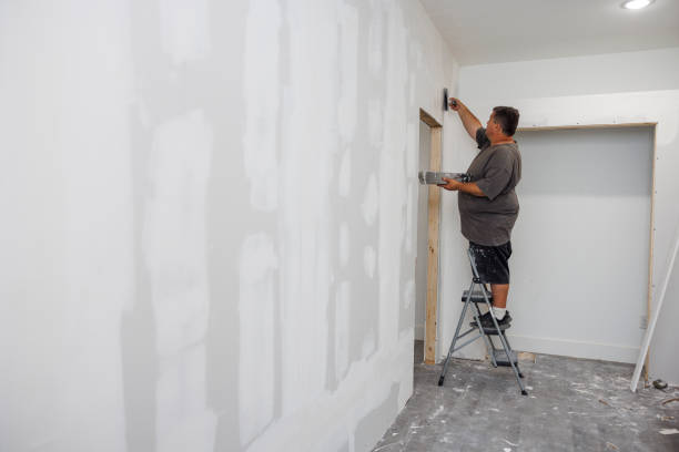 Best Asbestos and Lead Testing During Mold Inspection  in Vancleave, MS