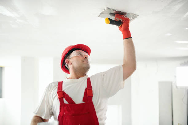 Mold Remediation for Rental Properties in Vancleave, MS